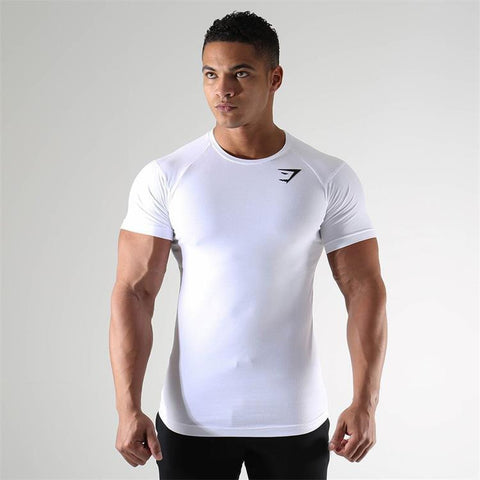 Men's Athletic Fit, Sport T-shirt, Fast Drying, Breathable Compression