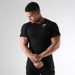 Men's Athletic Fit, Sport T-shirt, Fast Drying, Breathable Compression