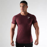 Men's Athletic Fit, Sport T-shirt, Fast Drying, Breathable Compression