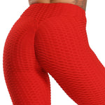 Scrunch Back, Multi-colored and Solid Women's Fitness Leggings