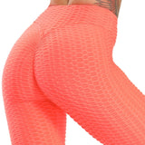 Scrunch Back, Multi-colored and Solid Women's Fitness Leggings