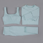 High Waist Seamless Yoga Set Long Sleeve and Tank Top options