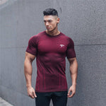 Men's Athletic fit gym or casual wear, T-shirt/Long-sleeve, Multiple colors