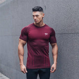 Men's Athletic fit gym or casual wear, T-shirt/Long-sleeve, Multiple colors